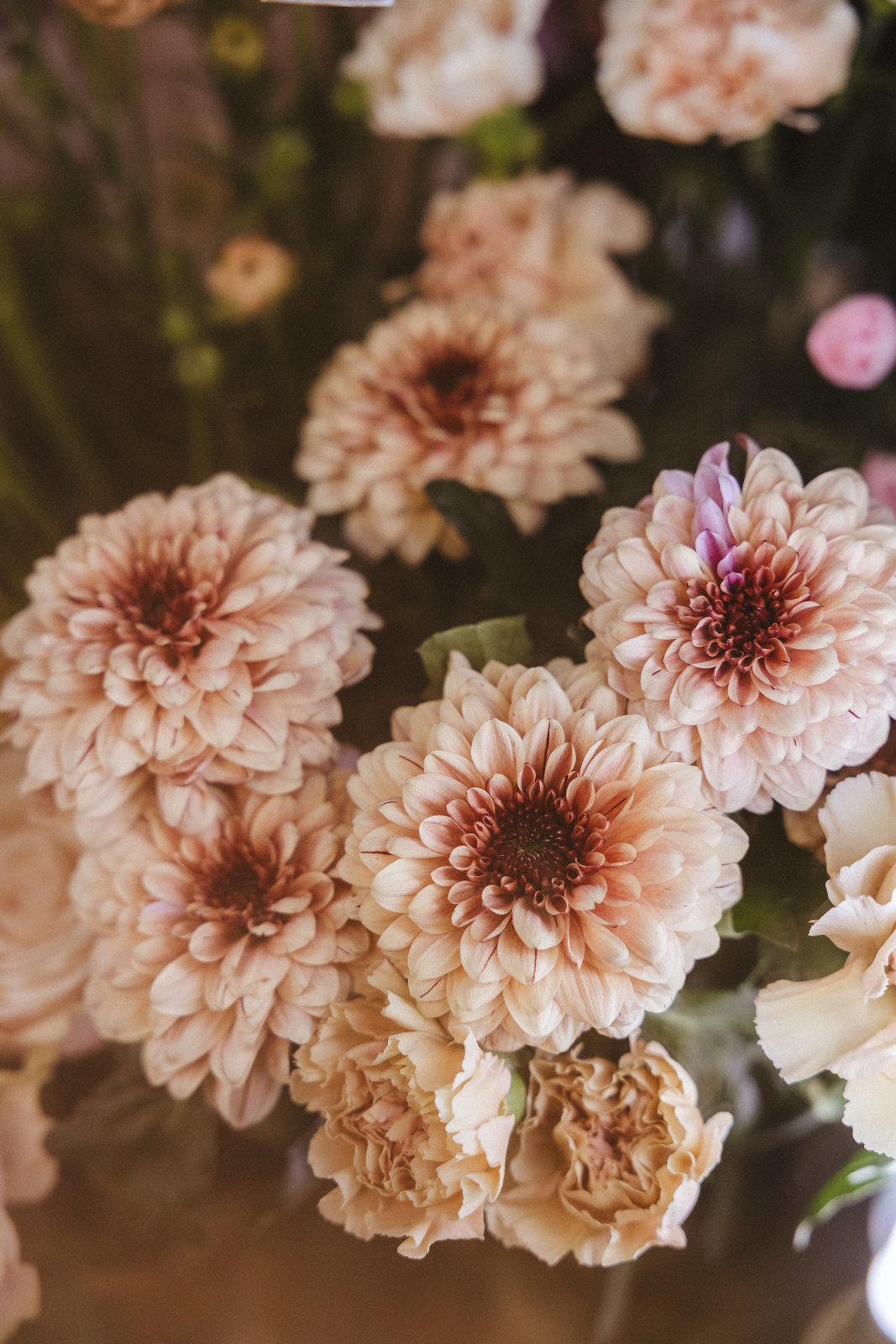 Kukkakauppa Vanha roosa