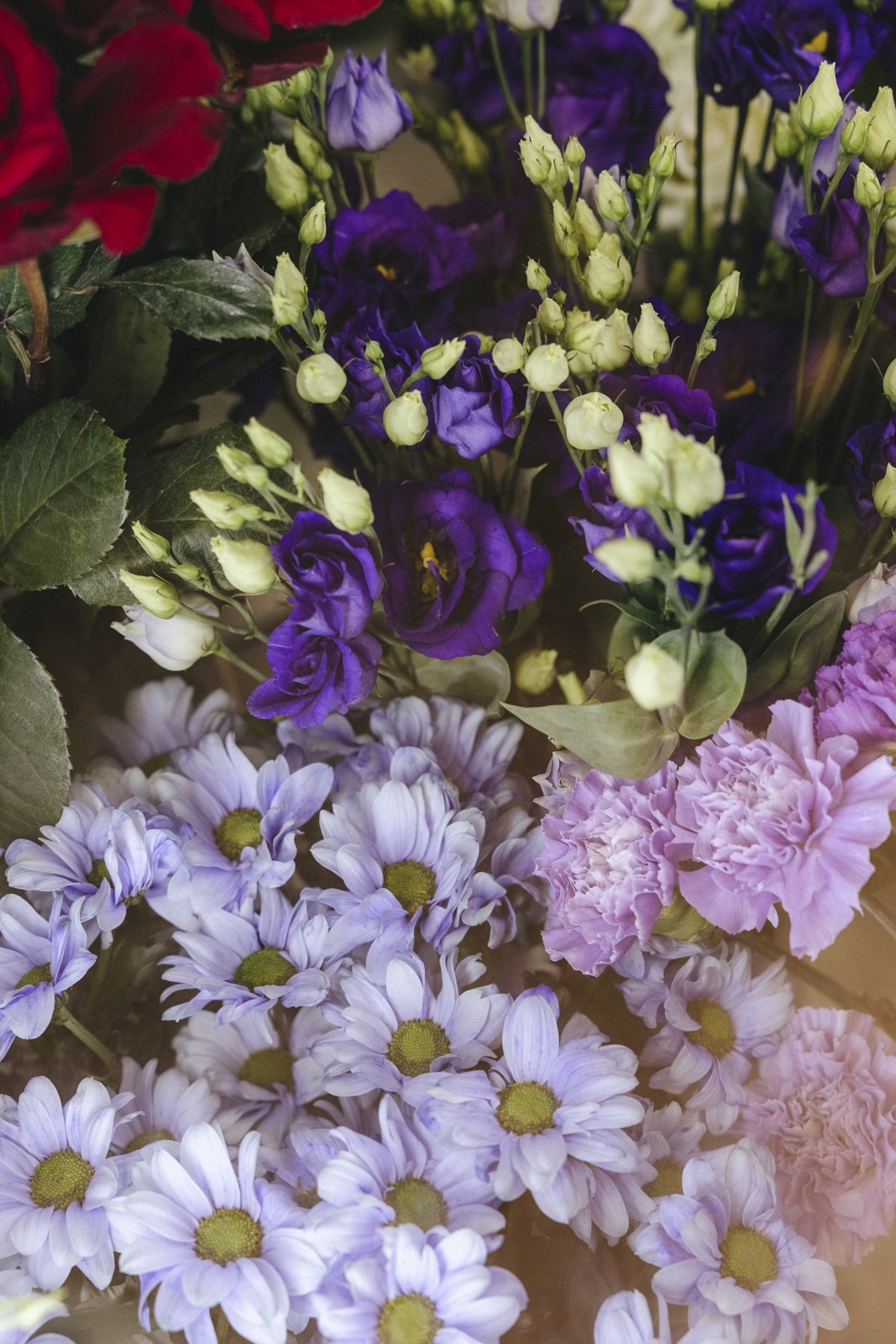 Kukkakauppa Vanha roosa grafiikka